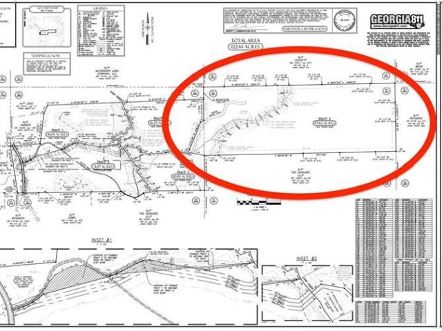 Land for sale in Ball Ground, Georgia