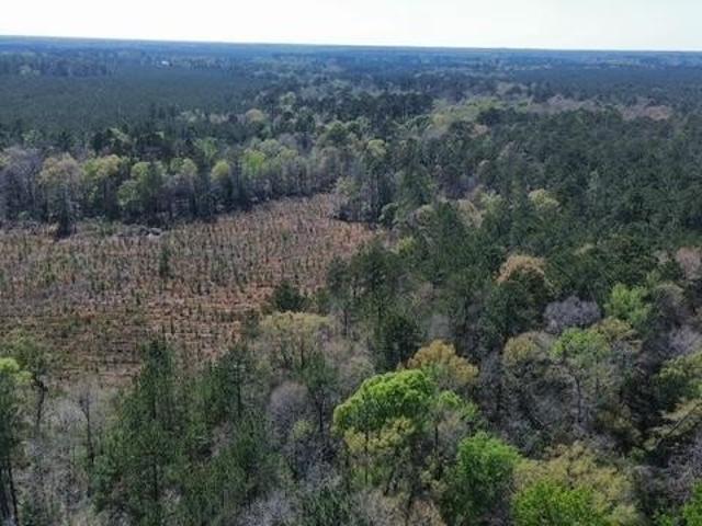 Land for sale in Jasper, Texas