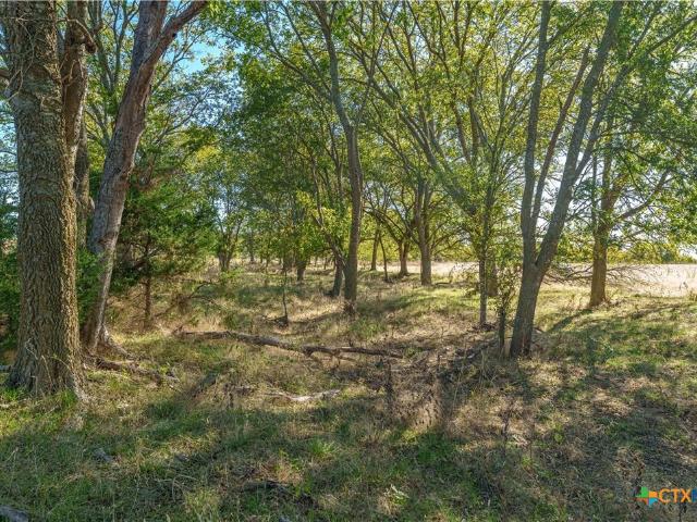 Land for sale in Moody, Texas
