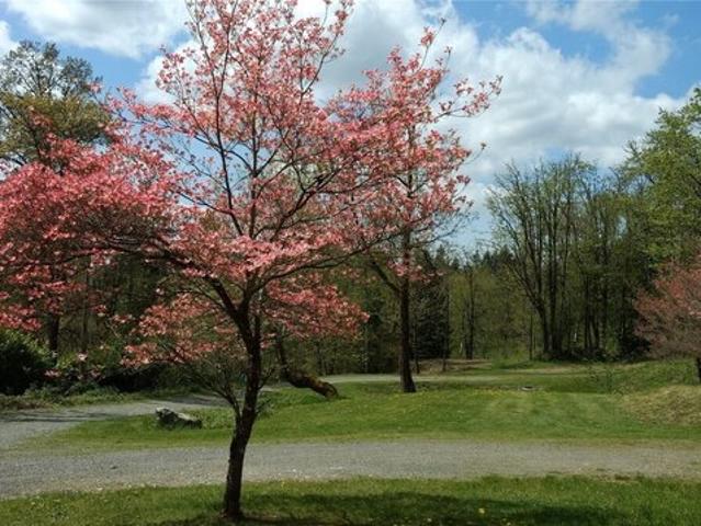 Land for sale in Issaquah, Washington