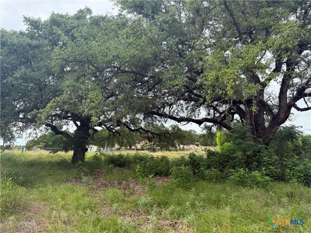 Farm for sale in Salado, Texas