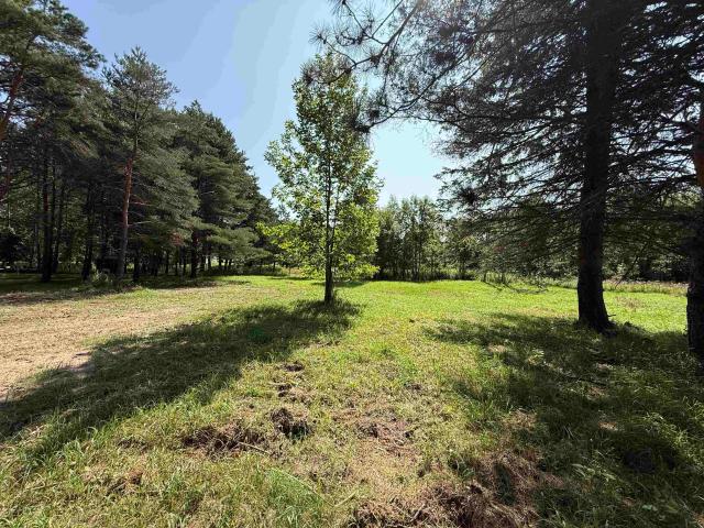 Land for sale in Michigan