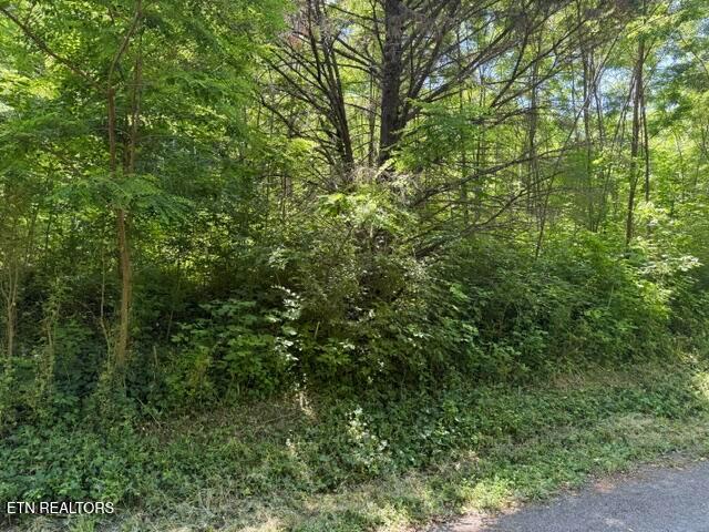 Land for sale in Tennessee