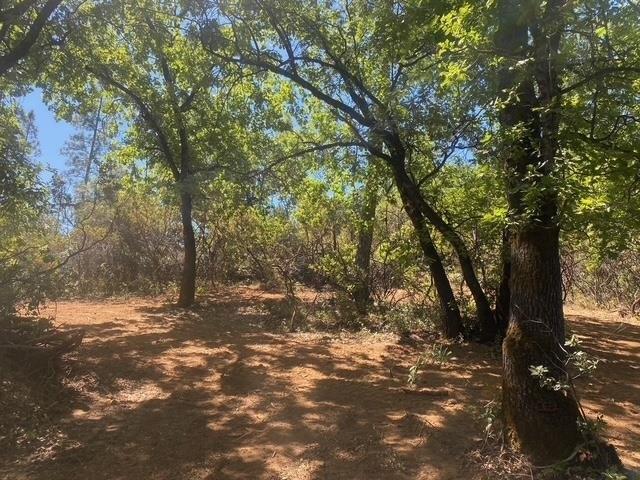 Land for sale in Murphys, California