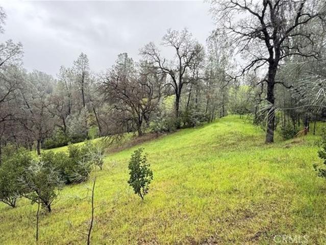 Land for sale in Corning, California