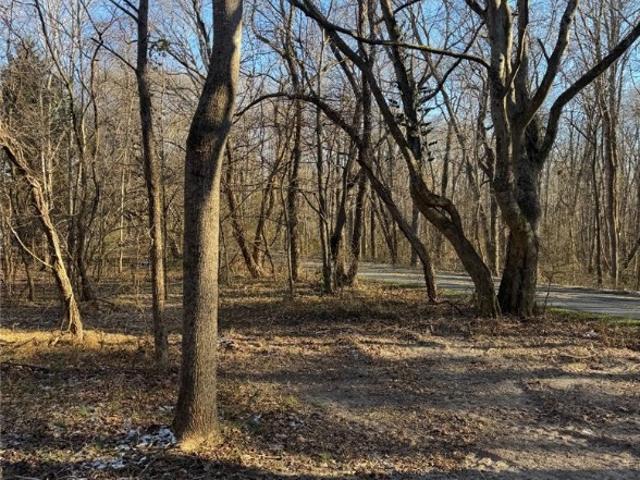 Land for sale in Virginia