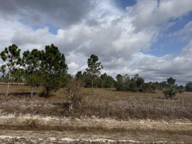 Land for sale in Okeechobee, Florida