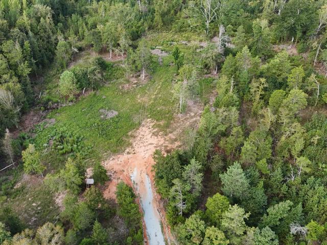 Land for sale in Ruckersville, Elberton