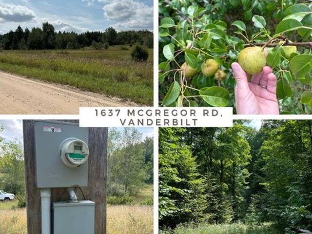 Land for sale in Vanderbilt, Michigan