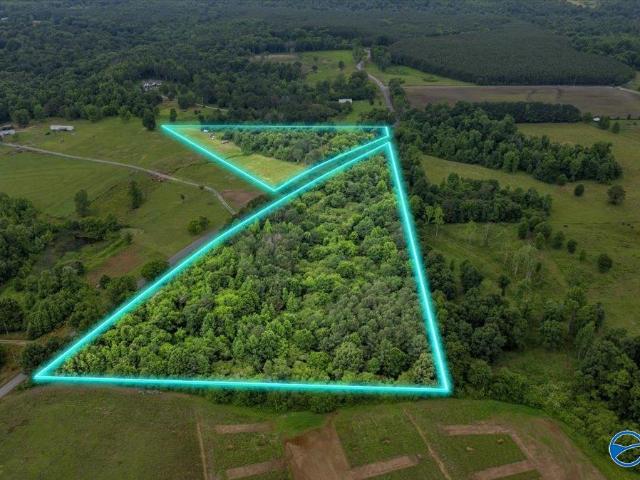 Land for sale in Section, Alabama