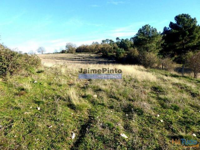 Terreno venda em Guarda, Figueira De Castelo Rodrigo
