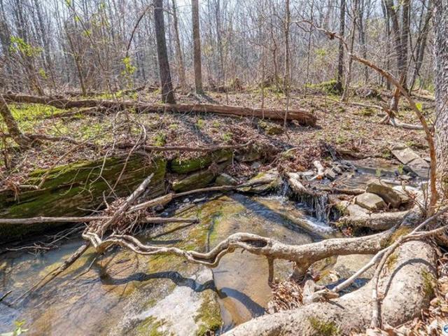 Land for sale in Etowah, Alabama