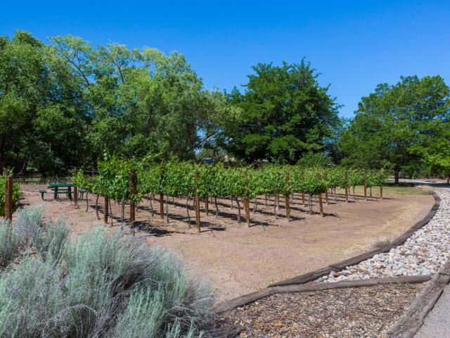House for sale in Corrales, New Mexico