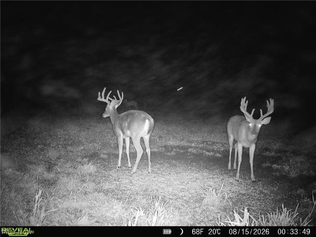 Land for sale in Rayland, Jefferson County