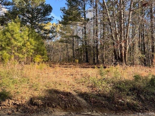 Land for sale in Roanoke Rapids, North Carolina