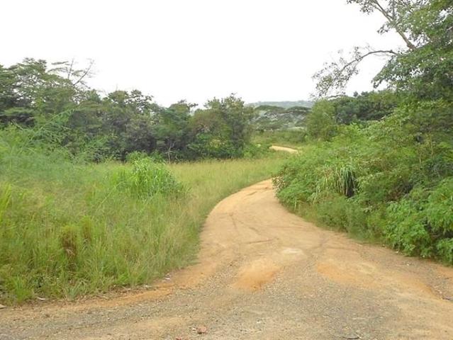 Farm for sale in Ugu District Municipality, Kwazulu-natal
