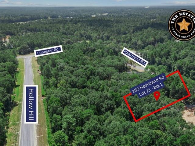 Land for sale in Walker, Texas