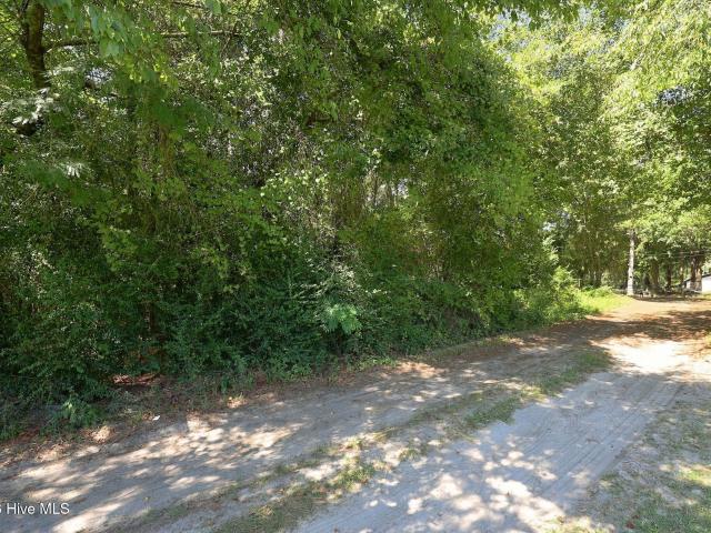 Land for sale in Beulaville, Duplin County