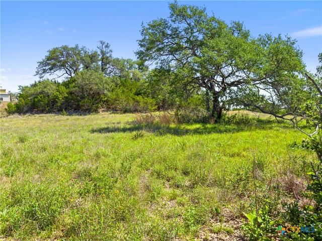 Land for sale in Blanco, Texas