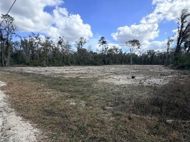 Land for sale in Dixie, Florida