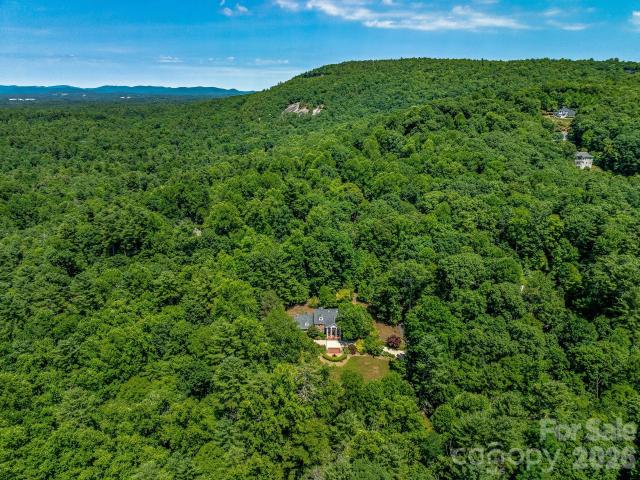 House for sale in East Flat Rock, North Carolina