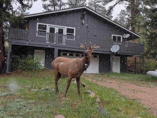 House for sale in Colorado