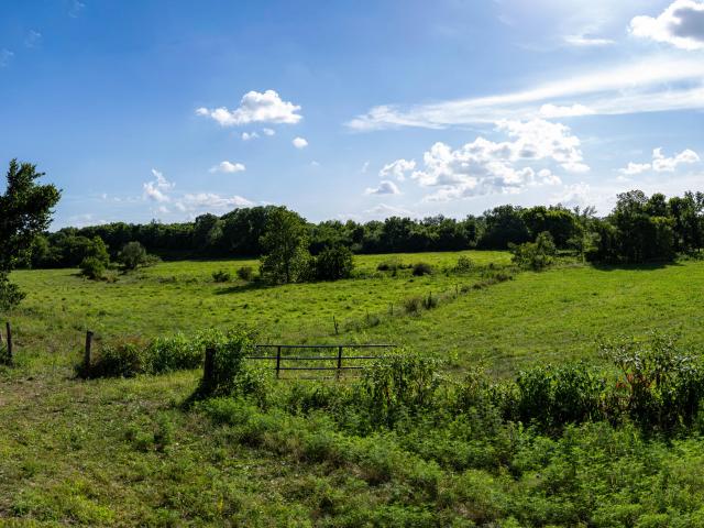 Land for sale in Barry, Missouri