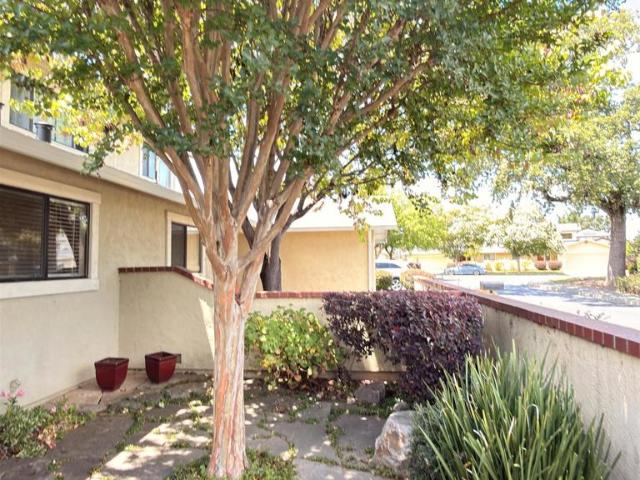 House for sale in Napa, California