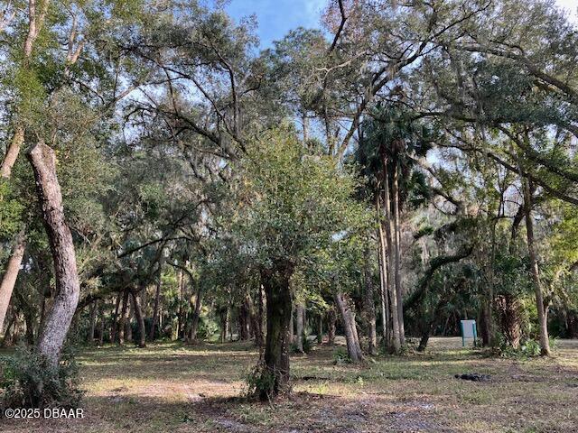 Land for sale in Pierson, Florida