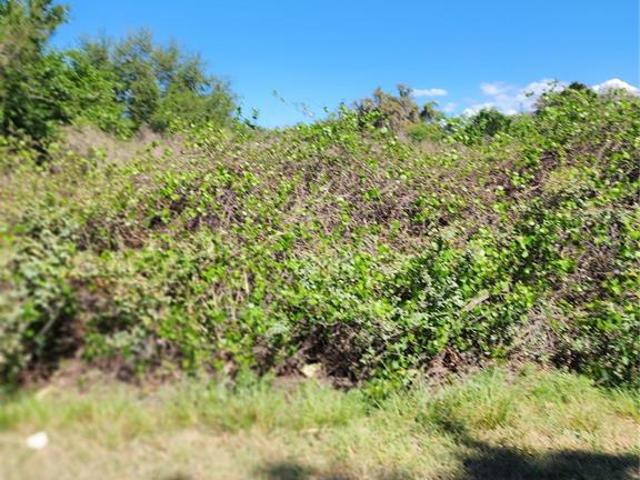 Property for sale in Lochloosa, Florida