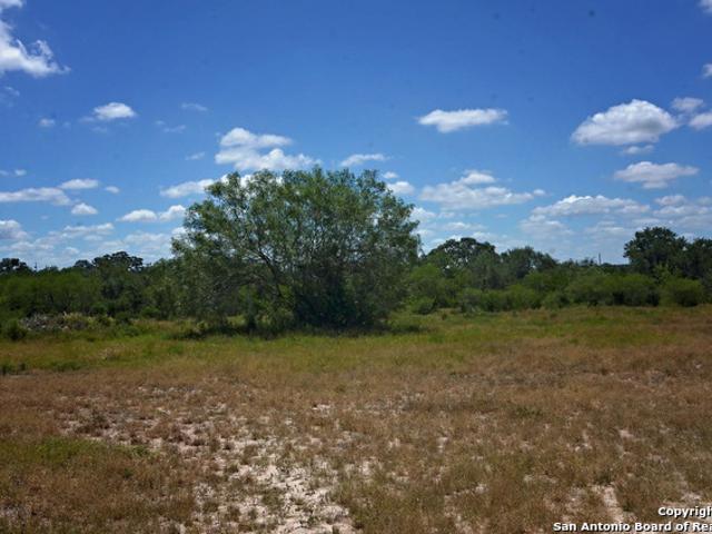 Land for sale in Bee, Texas