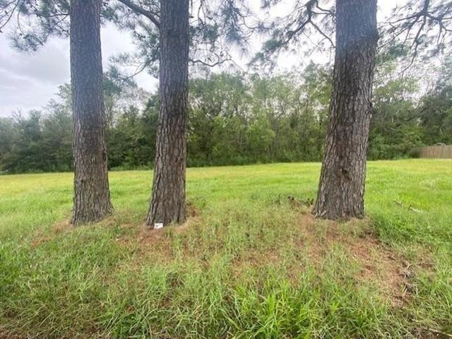 Land for sale in Louisiana
