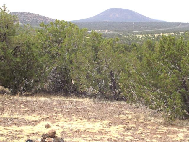 Land for sale in Williams, Arizona