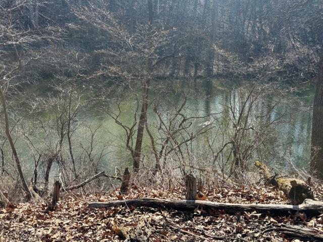 Land for sale in Marshall, Illinois