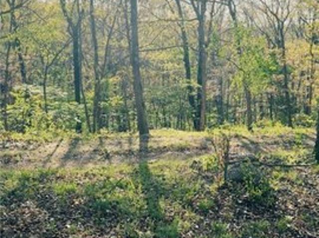 Land for sale in Barnett, Missouri