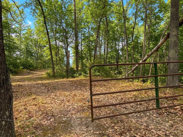 Land for sale in Backus, Minnesota
