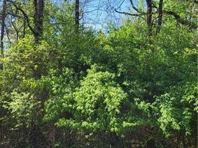 Land for sale in Guilford, North Carolina