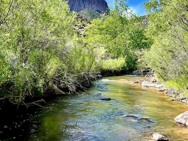 House for sale in Jemez Springs, New Mexico