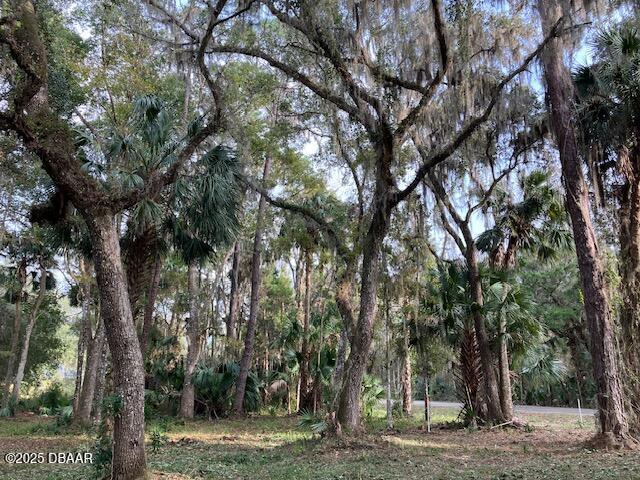 Land for sale in Pierson, Florida
