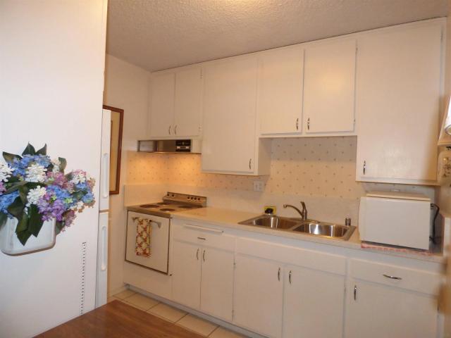 Property for rent in Jacumba, California