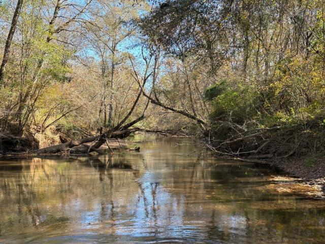 Land for sale in Georgia