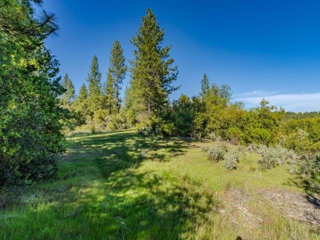 Land for sale in Pine Grove, California