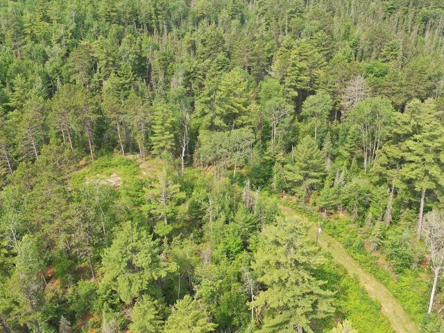 Land for sale in Minnesota