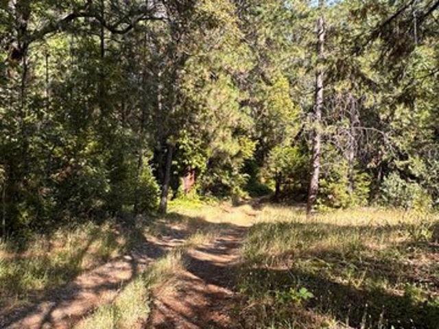 Land for sale in Dobbins, California