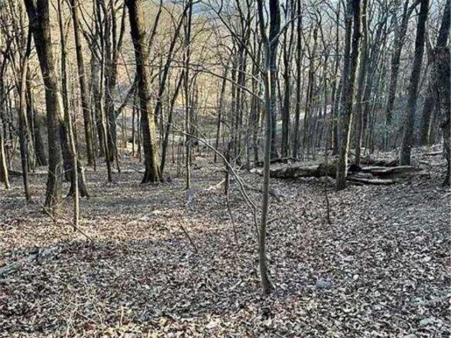 Land for sale in Pickens, Georgia