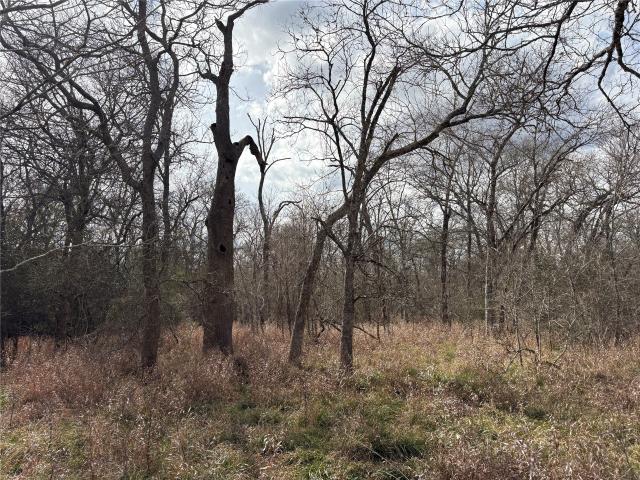 Land for sale in Grimes, Texas