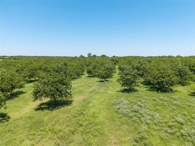 Land for sale in De Leon, Texas