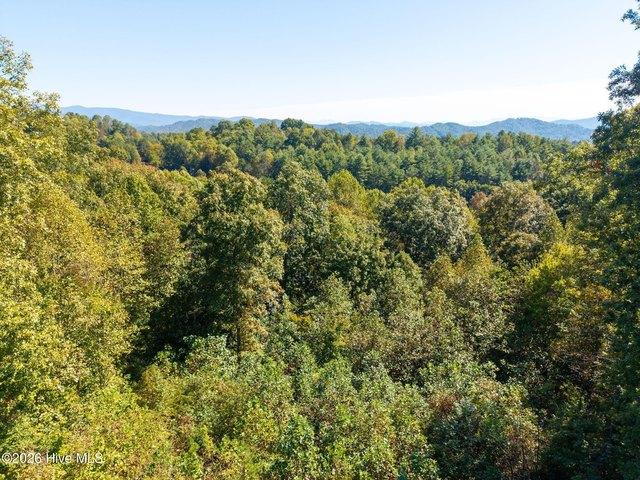 Land for sale in Murphy, Cherokee County