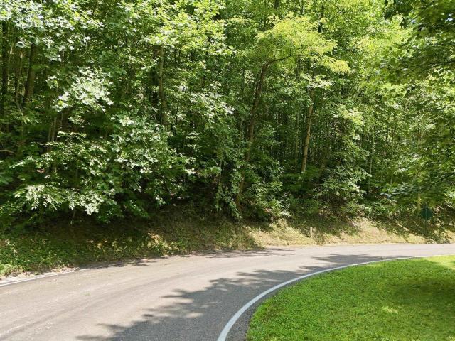 Land for sale in Landrum, South Carolina
