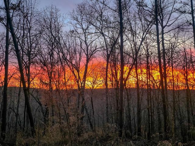 Farm for sale in Tennessee